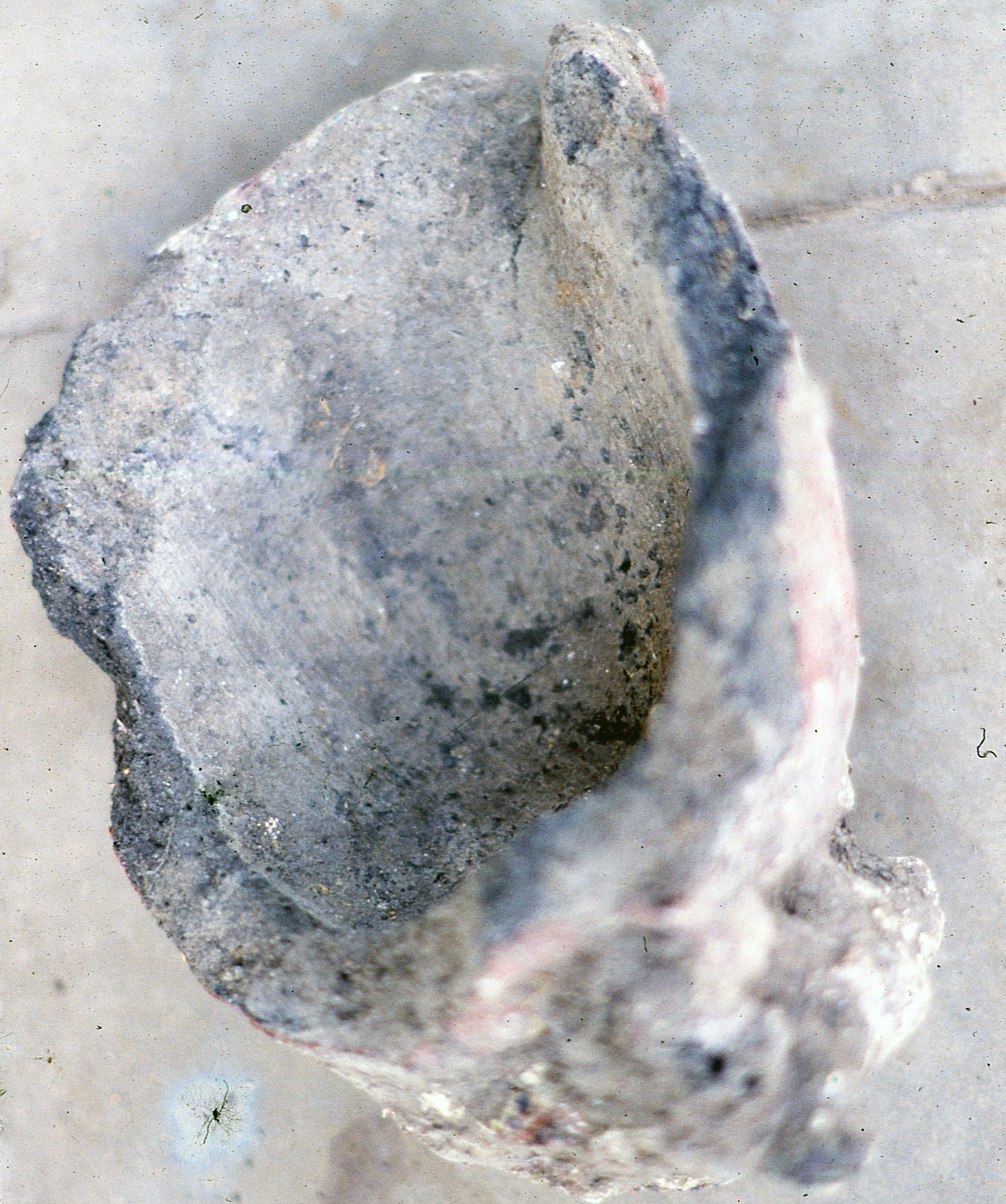 Photo 24 Crucible for metal-working.jpg